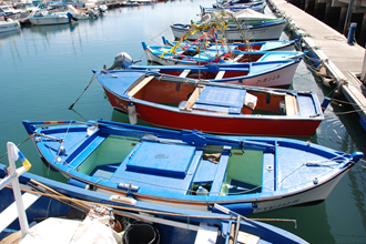 DSC_0040-1.JPG DSC_0040-1.JPG