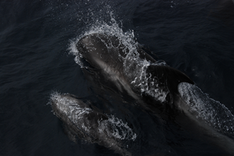 DSC_0228.JPG DSC_0228.JPG