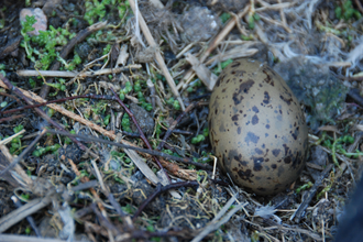 DSC_0308.JPG DSC_0308.JPG