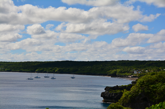 DSC_3739.JPG DSC_3739.JPG