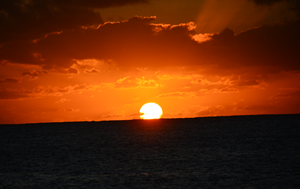 DSC_3924-5.JPG DSC_3924-5.JPG