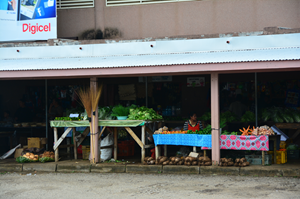 DSC_4001.JPG DSC_4001.JPG