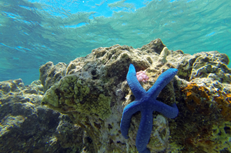GOPR0984_redigerad-1.jpg GOPR0984_redigerad-1.jpg