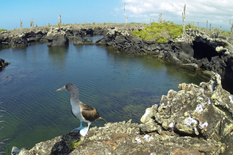 GOPR1183_redigerad-1.jpg GOPR1183_redigerad-1.jpg