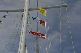 _DSC7693.JPG _DSC7693.JPG