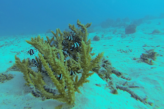 GOPR2174_redigerad-1.jpg